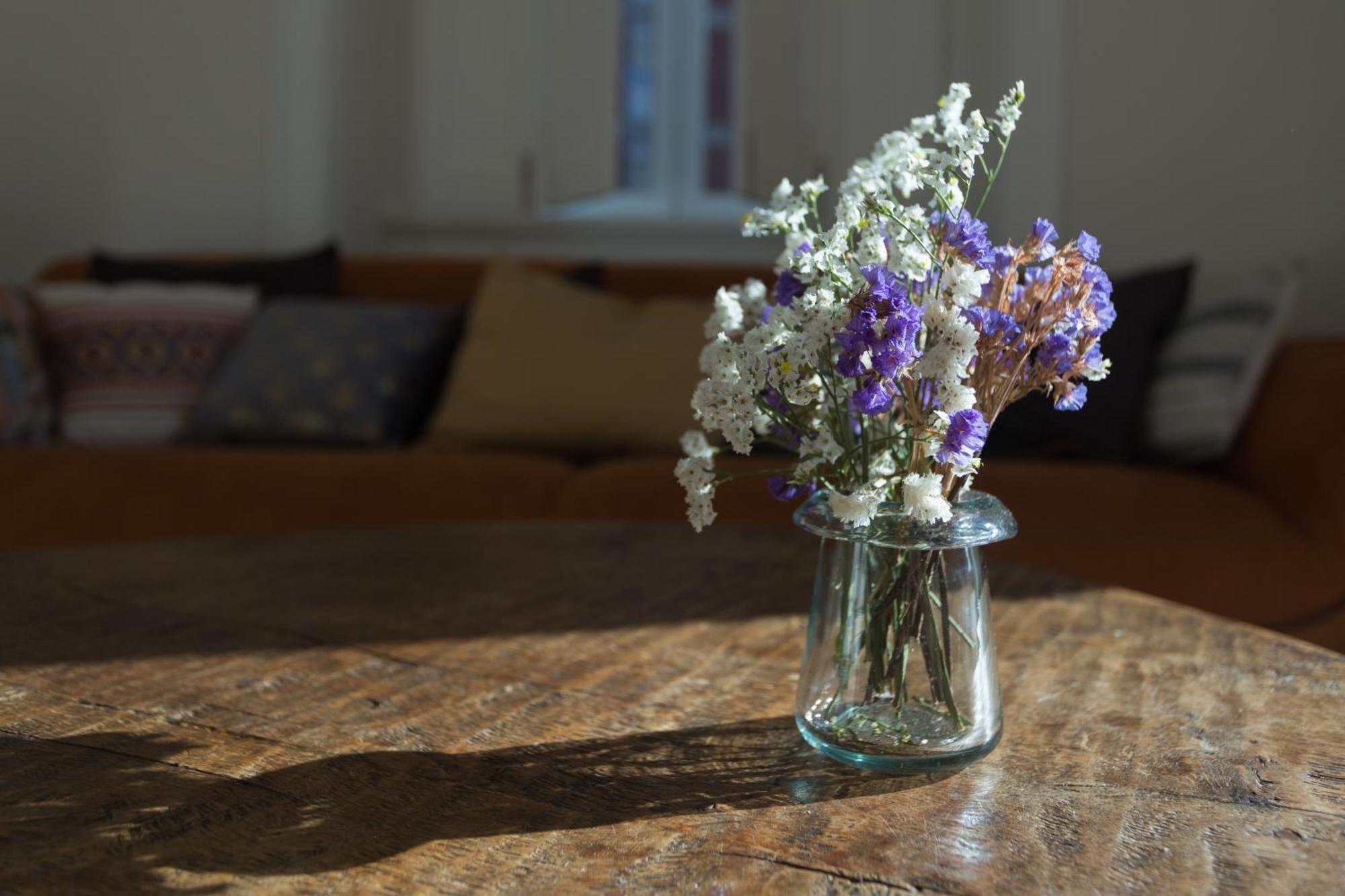 Vila Julieta Guesthouse Coimbra Kültér fotó
